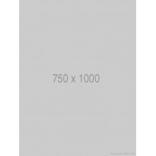 Folding Dining Table